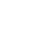 WordPress Developers