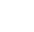 WordPress Developers