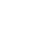 WordPress Developers