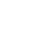 WordPress Developers