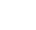 WordPress Developers